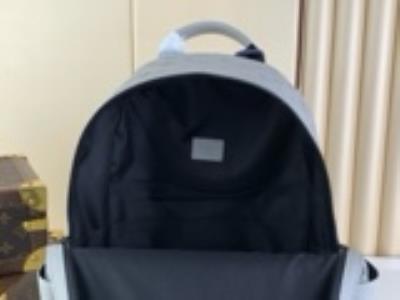 wholesale quality louis vuitton discovery backpack grey 